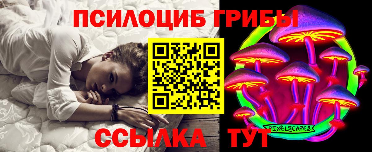 Псилоцибиновые грибы GOLDEN TEACHER Зеленодольск