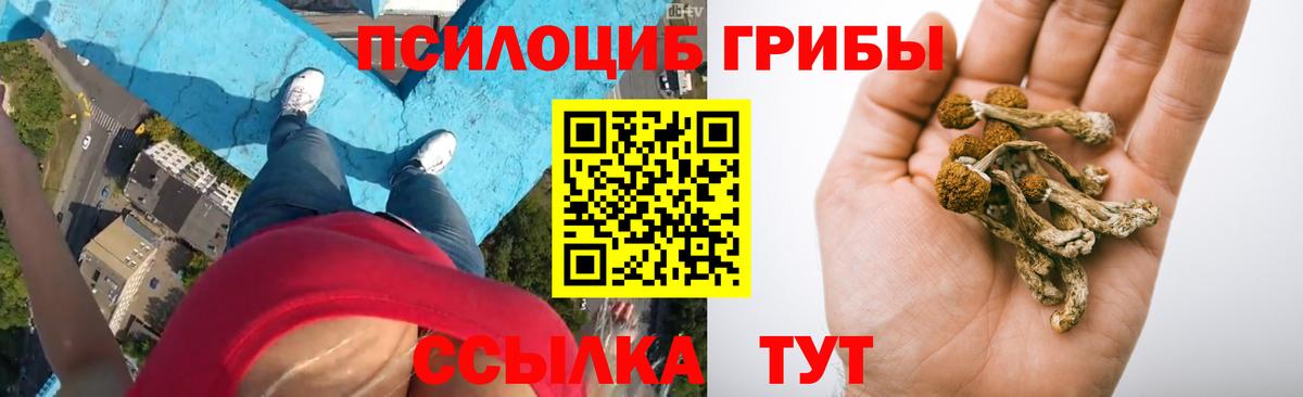 Зеленодольск  Галлюциногенные грибы мицелий  Галлюциногенные грибы Psilocybe  Вход с VPN 